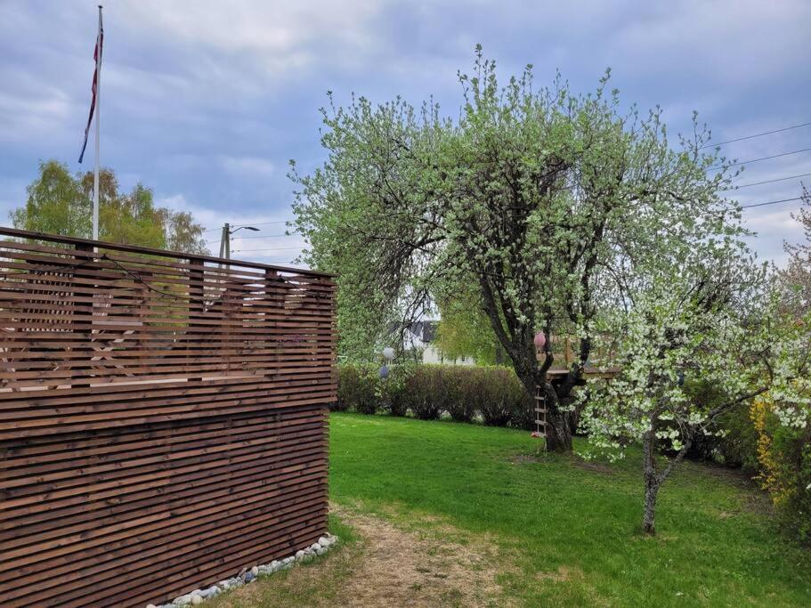 Beautiful Near Forest, Sea And Sandefjord